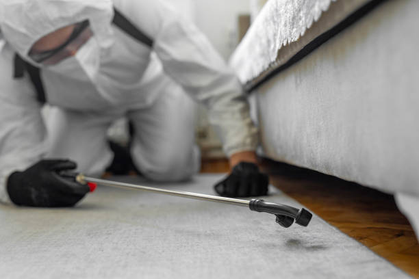 Professional Cockroach Control technician working in Vacaville, CA