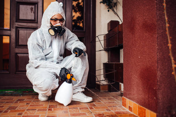 Reliable Cockroach Control contractor in Vacaville, CA by Nex Pest Control